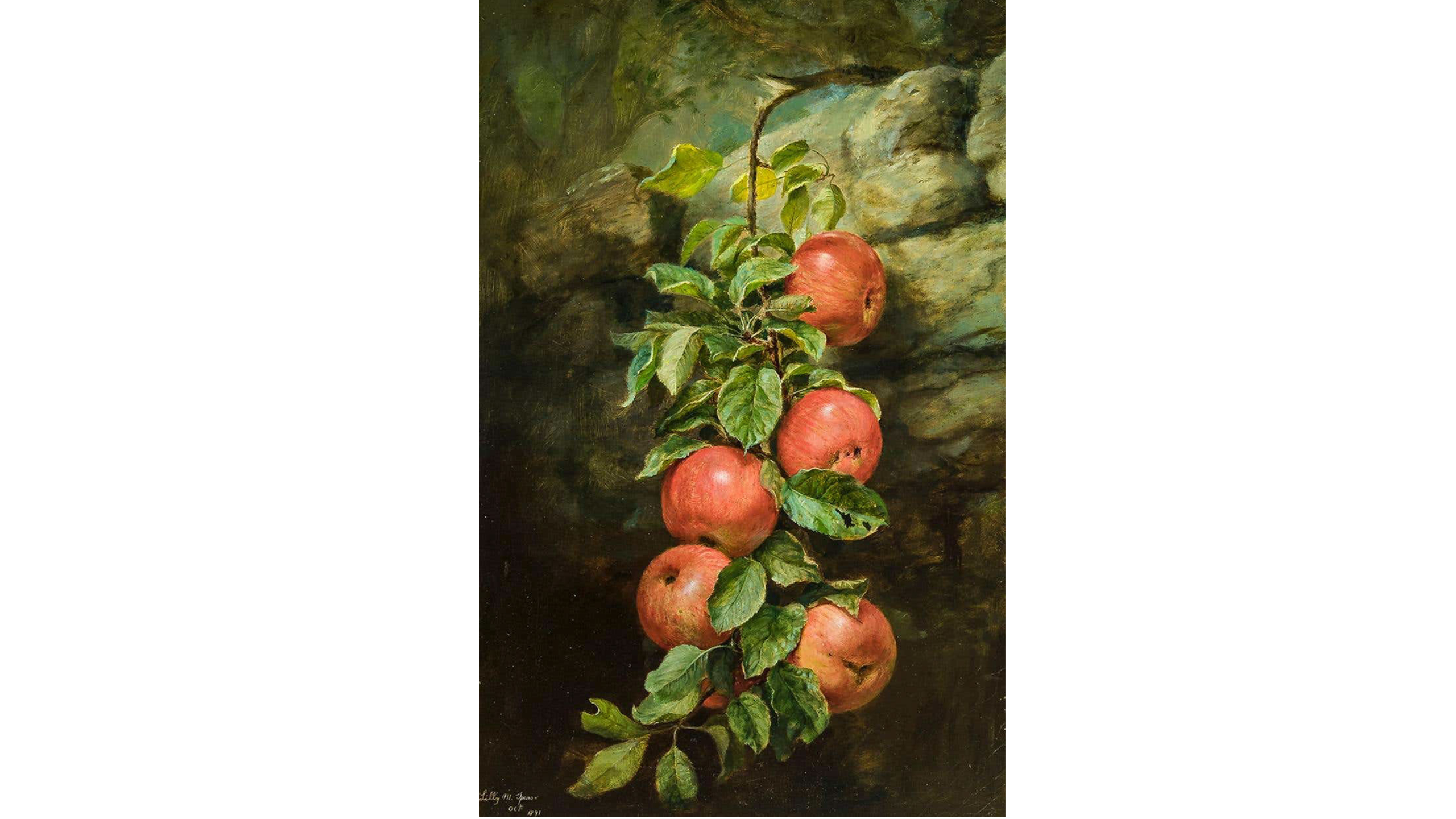 Featured Image for Acquisition Alert: Lilly Martin Spencer’s (1822–1902), Still Life with Apples, 1891
