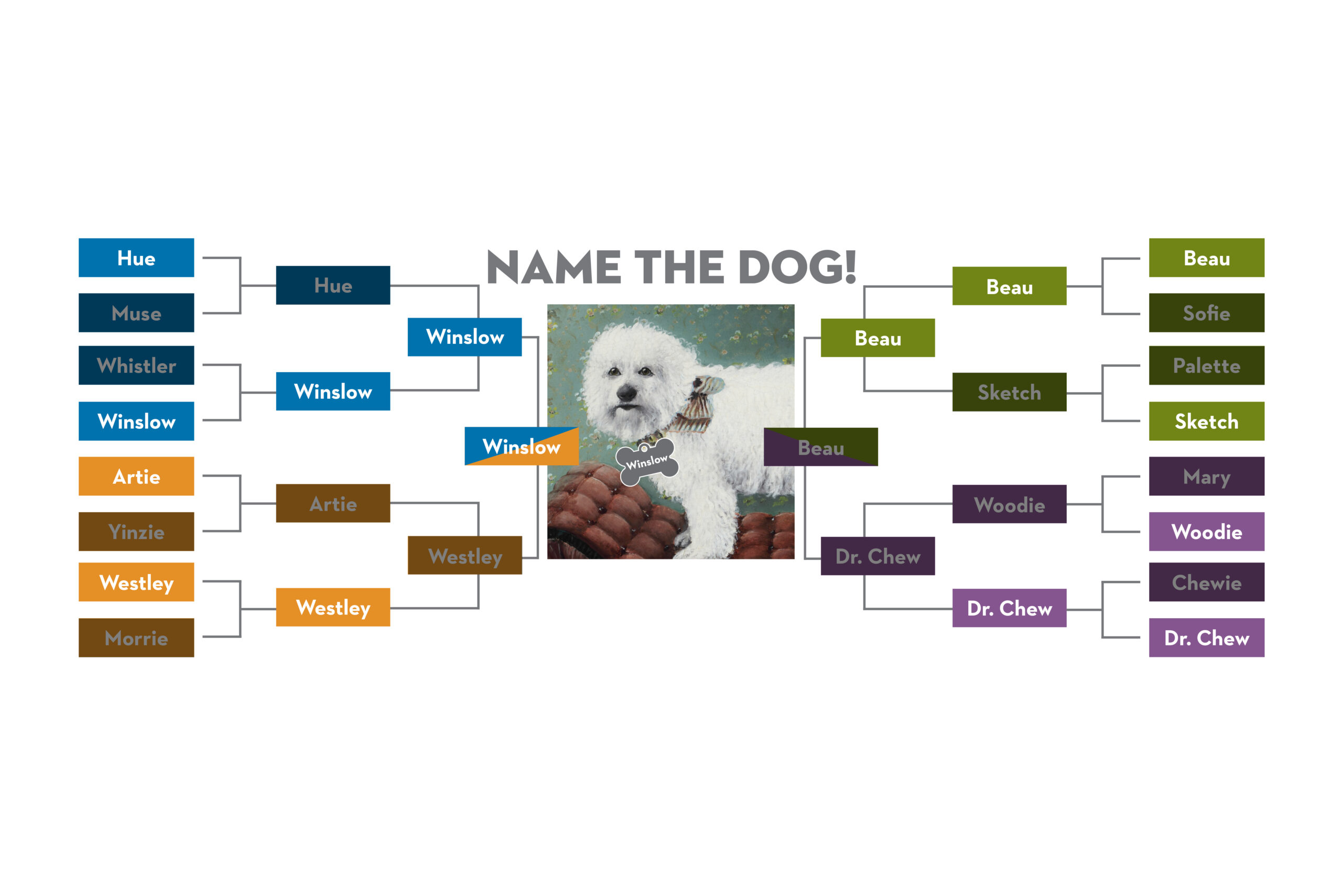 Featured Image for Name the Dog – Say hello to “Winslow”!